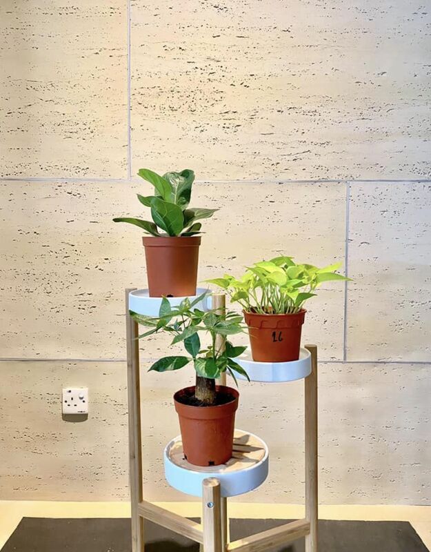 Flexible Travertine Sheets 3d Travertine Stone Panel Flexible Cladding Ms Travertine Flexible Outside Bricks