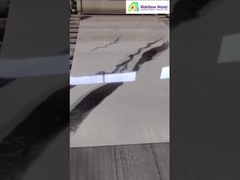 সমাপ্ত ইউভি মার্বেল শীট প্রদর্শন