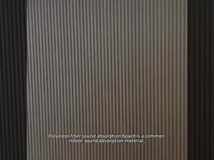 Acoustic Wood Wall Panel