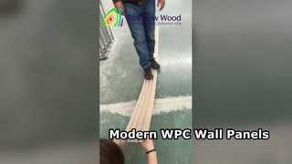 Paneles de pared de WPC para hogares modernos